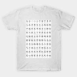 100 most common Chinese characters T-Shirt